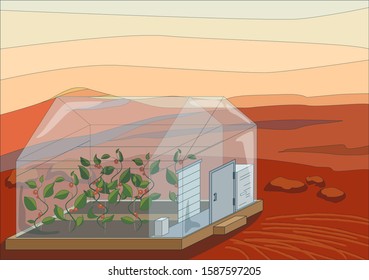 Green plants in greenhouse on red planet, Mars surface close up, vector illustration