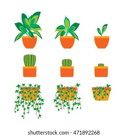 Green Plants growing in Pot decorative element for Home or Office. Cartoon Flat Design. Vector illustration of planting flowers.