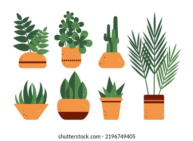 Green plants for home
Bundle of house plants isolated on a white background. Vector illustration