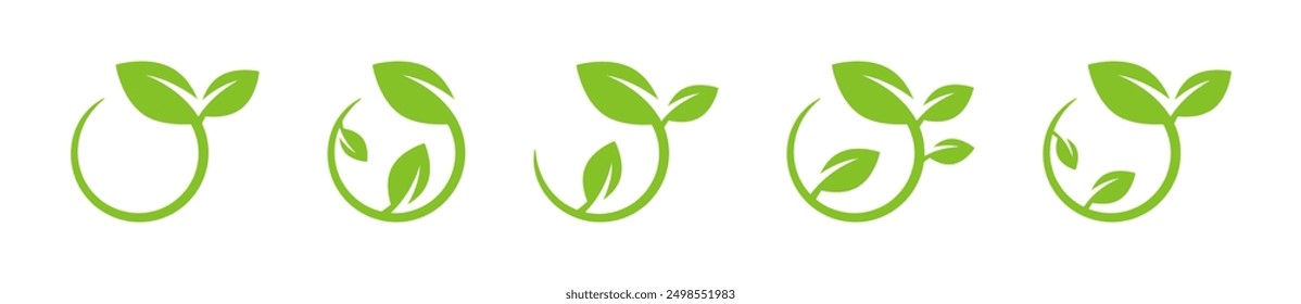 Green plants. Green leaves. Green leaf icons. Leaves illustration. Green leafs collection. Leaves of trees and plants. Branch with leaves.