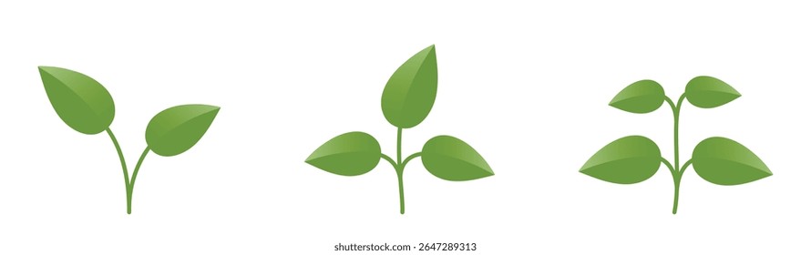 Plantas verdes com folhas. Natureza, botânica e plantio elementos de design. Imagens vetoriais isoladas