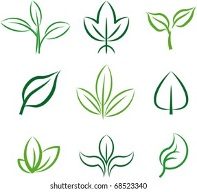 Green plants and leaves. Vector illustration