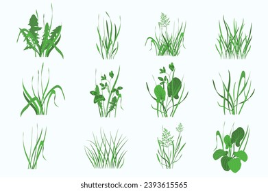 Green plants mega set in flat design. Bundle elements of outdoor greenery and meadow herbs and leaves of dandelions, cereals, chives, clovers, plantains. Vector illustration isolated graphic objects