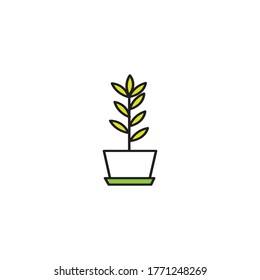 Green plants on a pot. vector icon illustration isolated on white background. 