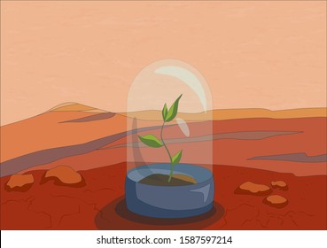 Green plants on red planet, Mars surface close up, vector illustration