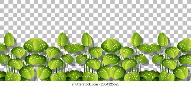 Plantas verdes sobre fondo transparente