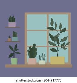 Green plants on the windowsill and on the shelves. Purple background