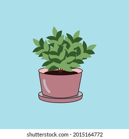 Plantas verdes en olla rosa sobre fondo azul. ilustración vectorial