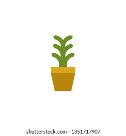 Green plants in the pot