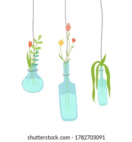 Green plants in pots from glass bottles. Cute bottles with flowers. Zero waste, upcycling ideas, reuse of utilized, vertical gardening concept. Colourful vector illustration on white background