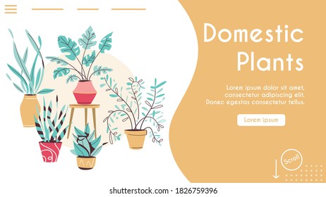 Green plants in pots set isolated objects. Potting trees, flowerpots hanging styling indoor. Vector illustration of home garden, planting flowers, houseplant in interior design, greenery in office