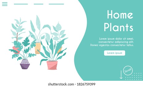 Green plants in pots set isolated objects. Potting trees, flowerpots hanging styling indoor. Vector illustration of home garden, planting flowers, houseplant in interior design, greenery in office