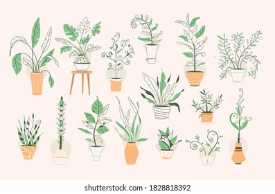 Green plants in pots set isolated objects. Potting trees, flowerpots hanging styling indoor. Vector illustration of home garden, planting flowers, houseplant in interior design, greenery in office