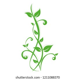 green plants tendril on white background vector illustration EPS10