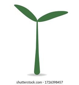 Grüne Pflanzen. Bäume sind der Anfang des Lebens.