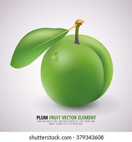 Green Plum with Stem, Green Leaf and Shadow on the white Background - Isolated Realistic Vector Illustration - Nature Fruit Element Design. Compatible with ai, cdr, jpg, png, svg, pdf, ico and eps.