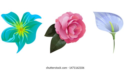 Green Plumeria. Pink Balsam. Blue Anthurium Tailflower. Vector illustration. Isolated illustration element. Floral botanical flower. Wild leaf wildflower isolated. Exotic tropical hawaiian jungle.