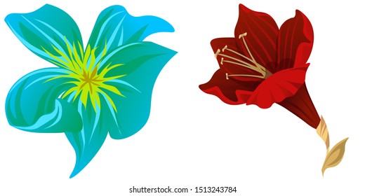 Green Plumeria. Purple Amaryllis. Vector illustration. Isolated illustration element. Floral botanical flower. Wild leaf wildflower isolated. Exotic tropical hawaiian jungle.