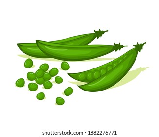 Green pods peas vector design. Vegetables organic food for healthy