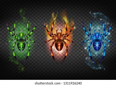 Green poisonous with skull on abdomen, red scorching covered flame and blue icy cold with snowflakes spiders realistic vector set isolated transparent background. Scary prints for clothing. Game icons