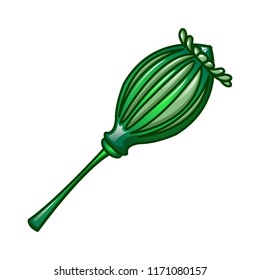 Green poppy icon. Cartoon of green poppy vector icon for web design isolated on white background
