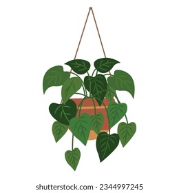 Pothos verdes o planta de hiedra del diablo, planta de la casa colgante, ilustración vectorial de viñas aislada en fondo blanco