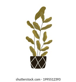 Green potted interior plant for home decoration. Big high foliage houseplant in planter. Tall ficus growing in ceramic container. Flat vector illustration isolated on white background