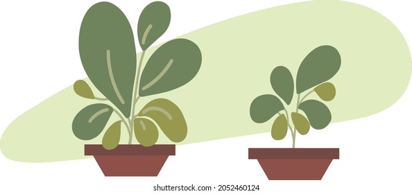Green potted plants. Indoor green abstract plants modern flat colored vector design. 2d plants simple leaves. Small plants.