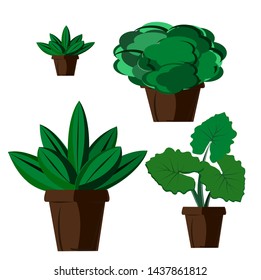 Green potted plants, tropical plants, Trees in green pots , vector illustrations Isolated white background