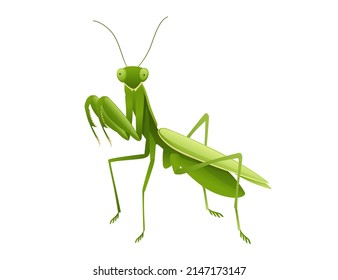 578 Cartoon praying mantis Images, Stock Photos & Vectors | Shutterstock