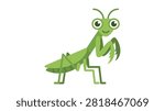 Green Praying Mantis Standing Upright Vector Insect Illustration