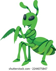 green praying mantis white background