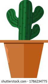 Green prickly cactus in orange flowerpot