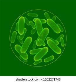 Green probiotics micro bacterium organisms.Vector illustration