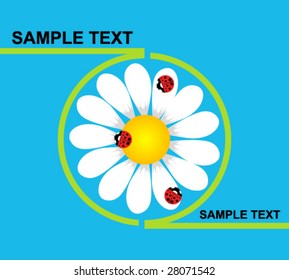 Green profile containing a white daisy with upon three  ladybirds
