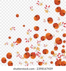 Green Pumpkin Background Transparent Vector. Yellow Season Template. Orange Gourd Harvest Set. Leaves Drawing. Pattern Banner.