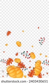 Green Pumpkin Background Transparent Vector. Colorful Cute Frame. Yellow Vegetable Foliage Card. Leaf Vintage. Drawing Template.