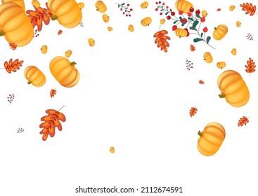 Green Pumpkin Background White Vector. Leaf Halloween. Red Holiday Card. Food Texture. Orange Gourd Wallpaper Set.