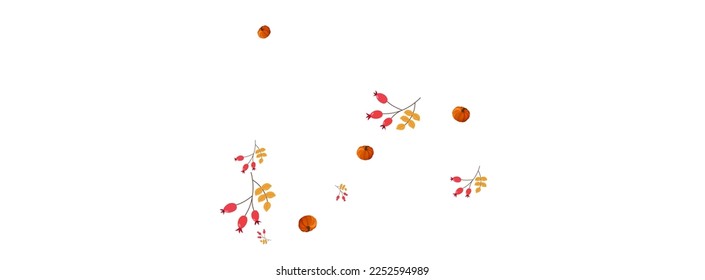 Green Pumpkin Background White Vector. Gourd Happy. Burgundy Invitation Frame. Halloween Card. Colorful Leaf Healthy Set.