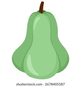 Green pumpkin gourd autumn vector isolated