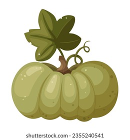 Green pumpkin with leaf and swirl isolated on white background, vector illustration in cartoon, flat style.