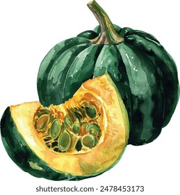 Calabaza verde con rebanada, vegetal de otoño aislado, ilustración de acuarela en blanco