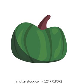 green pumpkin sweet delicious background