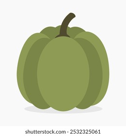 Ilustración vectorial de calabaza verde aislada sobre fondo blanco	