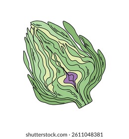 Green and purple artichoke cut drawing, flat vector food illustration perfect for kitchen decor