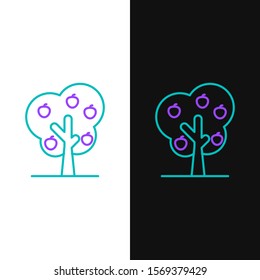 Green and purple line Tree with apple icon isolated on white and black background. Agricultural plant. Organic farm product. Gardening theme.  Vector Illustration