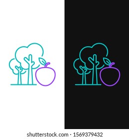 Green and purple line Tree with apple icon isolated on white and black background. Agricultural plant. Organic farm product. Gardening theme.  Vector Illustration