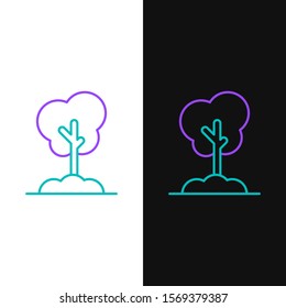Green and purple line Tree in the ground icon isolated on white and black background. Forest symbol.  Vector Illustration
