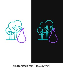 Green and purple line Tree with pears icon isolated on white and black background. Agricultural plant. Organic farm product. Gardening theme.  Vector Illustration