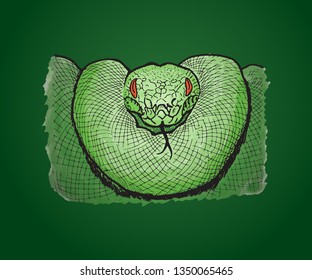 A green python snake coiled together. Hand drawn vector illustration.